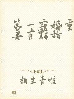 第一宠婚重生娇妻有点甜