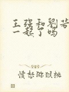 王强和刘若琳在一起了吗