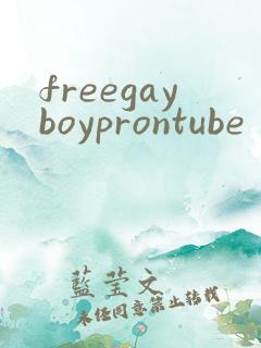 freegayboyprontube