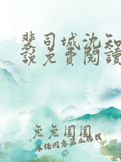 裴司城沈知意小说免费阅读最新章节