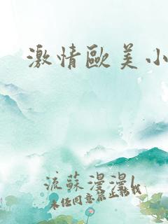 激情欧美小说网