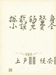总裁的替身前妻小说免费全文阅读