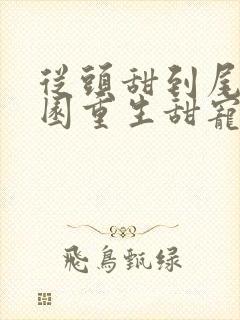 从头甜到尾的校园重生甜宠文