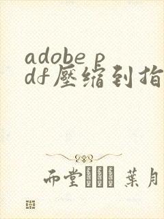 adobe pdf压缩到指定大小