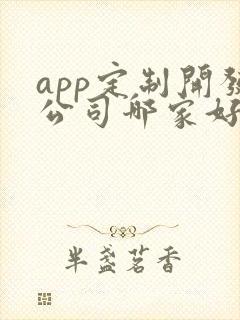 app定制开发公司哪家好