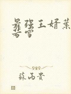 最强王婿叶凡唐若雪