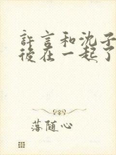 许言和沈子畅最后在一起了吗