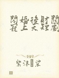 闪婚后财阀老公宠上天短剧