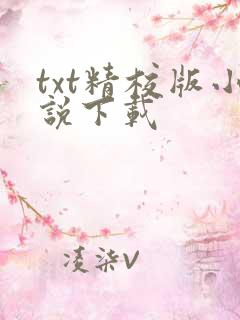 txt精校版小说下载