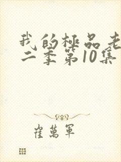 我的极品老婆第二季第10集