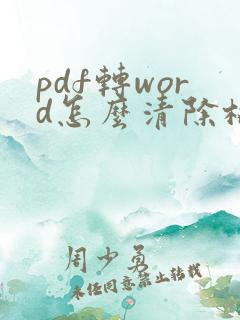 pdf转word怎么清除格式