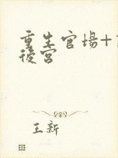 重生官场+熟女后宫