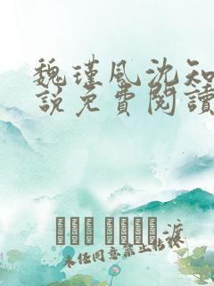 魏瑾风沈知玉小说免费阅读最新章节
