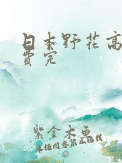 日本野花高清免费完