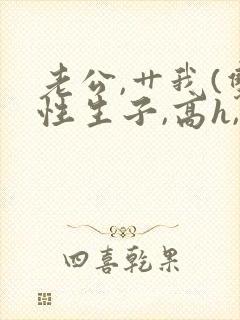 老公,艹我(双性生子,高h,1v1