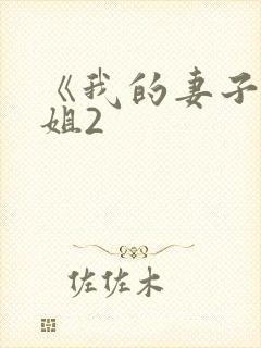 《我的妻子的姐姐2