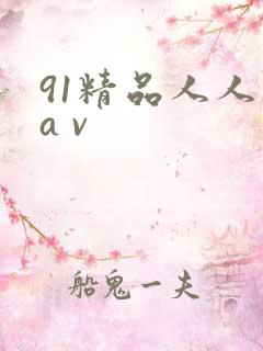 91精品人人妻a v
