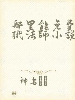 哪里能免费看全职法师小说