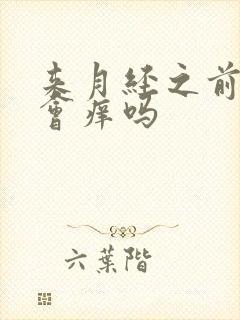 来月经之前阴道会痒吗