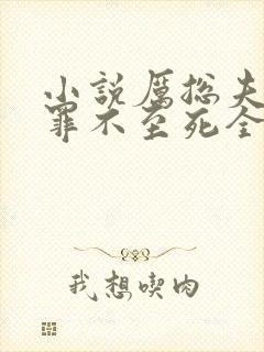 小说厉总夫人她罪不至死全集