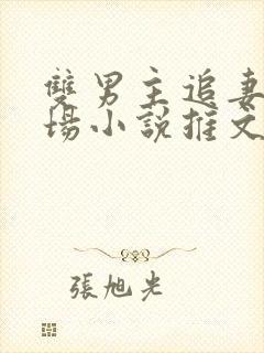 双男主追妻火葬场小说推文