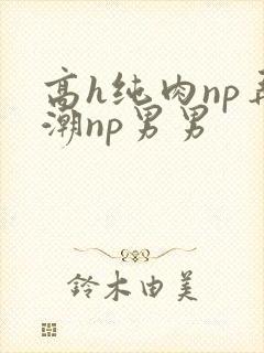 高h纯肉np弄潮np男男