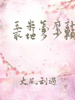 玉米怎么计算一亩地多少颗