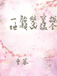 一胎双宝总裁爹地超凶猛全集在线阅读