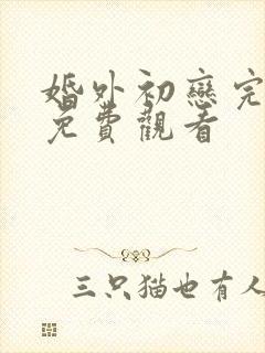 婚外初恋完整版免费观看