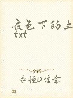 夜色下的上海滩 txt
