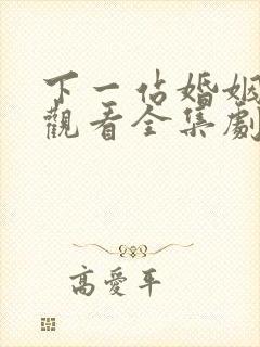 下一站婚姻免费观看全集剧情