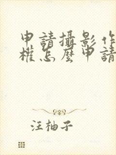 申请摄影作品版权怎么申请