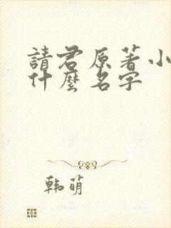 请君原著小说叫什么名字