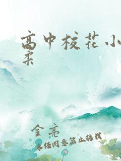 高中校花小雪小柔