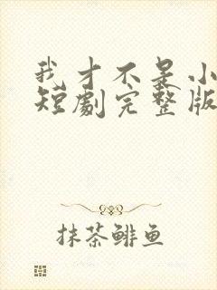 我才不是小可怜短剧完整版