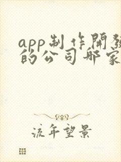 app制作开发的公司哪家好