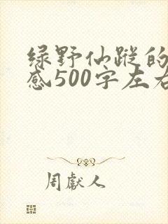 绿野仙踪的读后感500字左右