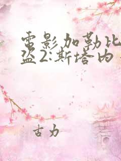 电影加勒比女海盗2:斯塔内蒂的复仇在线观看