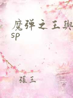 魔弹之王与战姬sp