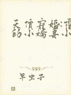 天价宠婚:霍总的小娇妻小说在线看