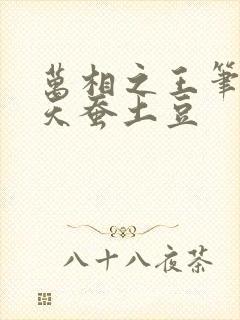 万相之王笔趣阁天蚕土豆