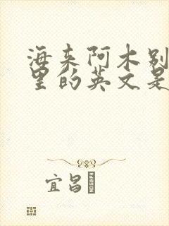 海来阿木别知己里的英文是什么意思