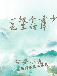 一级全黄少妇性色生活片
