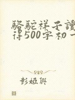骆驼祥子读书心得500字初一
