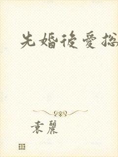 先婚后爱总裁文