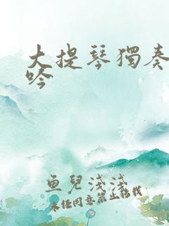 大提琴独奏葬花吟