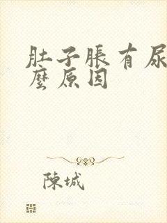 肚子胀有尿意什么原因