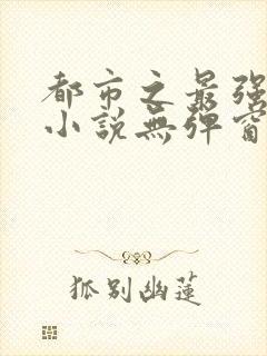 都市之最强狂兵小说无弹窗