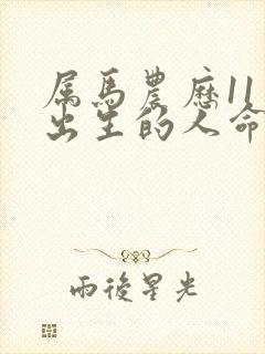 属马农历11月出生的人命运怎么样