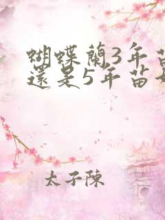 蝴蝶兰3年苗好还是5年苗好